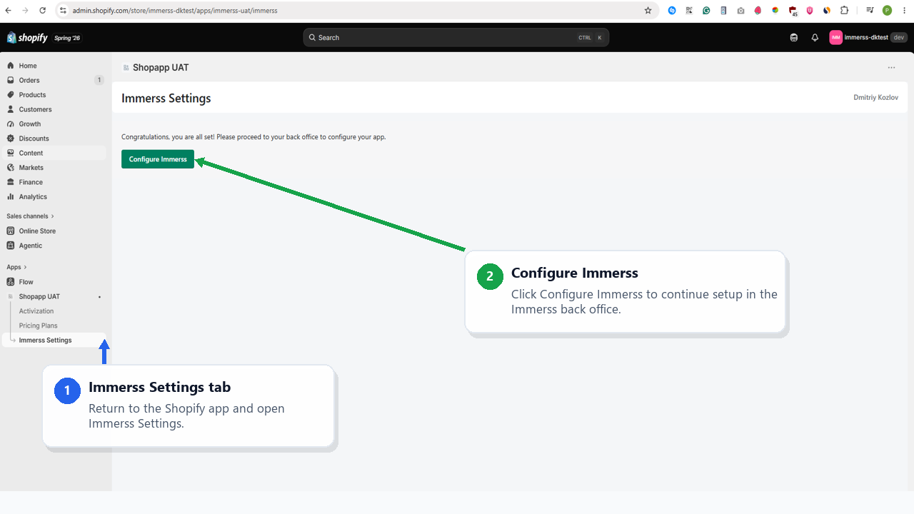 Open Immerss Settings